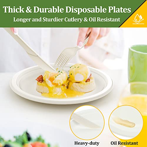 FEHHTO Compostable Paper Plates Set, 250PCS Disposable Heavy-Duty Sugarcane Plate and Eco-Friendly Utensil Biodegradable Dinnerware Plates, Extra Long Forks & Knives & Spoons for Party