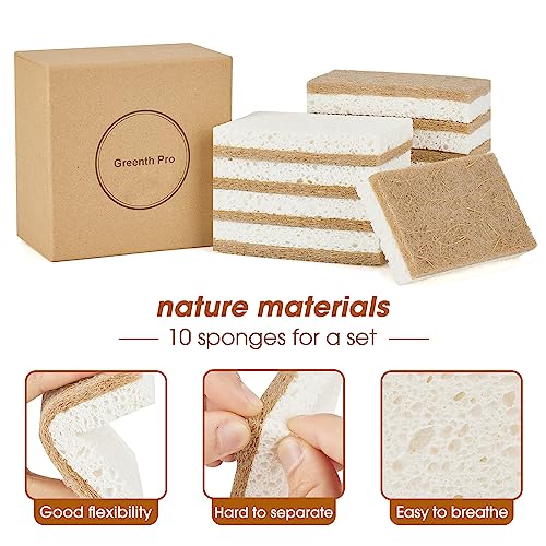 GREENTH PRO 10 Pack Nature Dish Sponge - Natural Kitchen Sponge - Eco Friendly Coconut Fiber and Wood Cellulose Scrubber Sponge