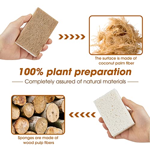 GREENTH PRO 10 Pack Nature Dish Sponge - Natural Kitchen Sponge - Eco Friendly Coconut Fiber and Wood Cellulose Scrubber Sponge