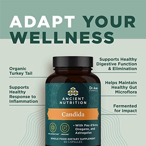 Ancient Nutrition Gut Health Supplement, Candida Capsules, Provides Occasional Diarrhea, Constipation, Gas and Bloating Relief, Supports Immune Function, Gluten Free and Keto Friendly, 60 Capsules